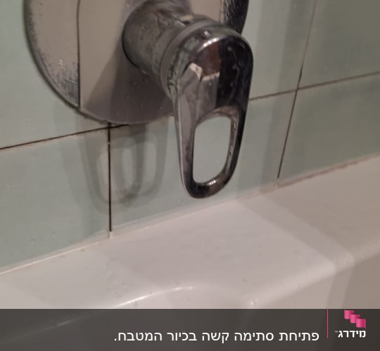ברז אמבטיה עם ידית מתכת וכפתור